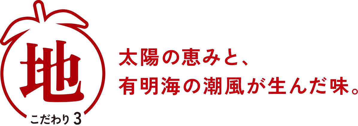 太陽の恵みと、有明海の潮風が生んだ味。