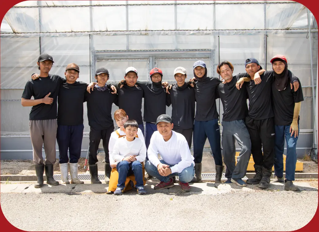 ビニールハウス