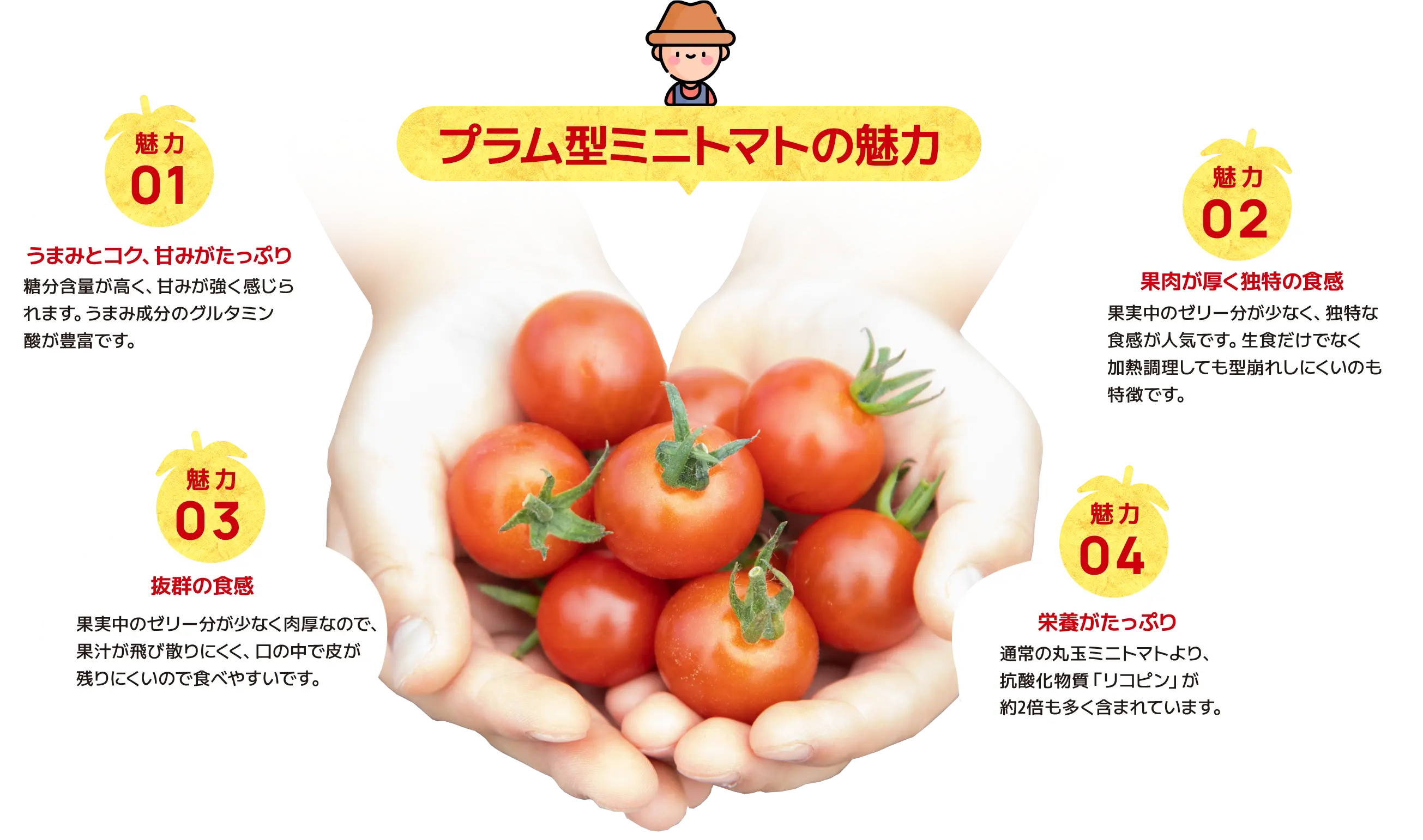 プラム型ミニトマトの魅力